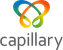 Capillary
